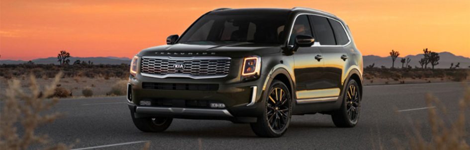 2021 Kia Telluride Overview in Raleigh, NC